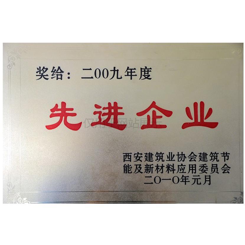 2009年度先进企业